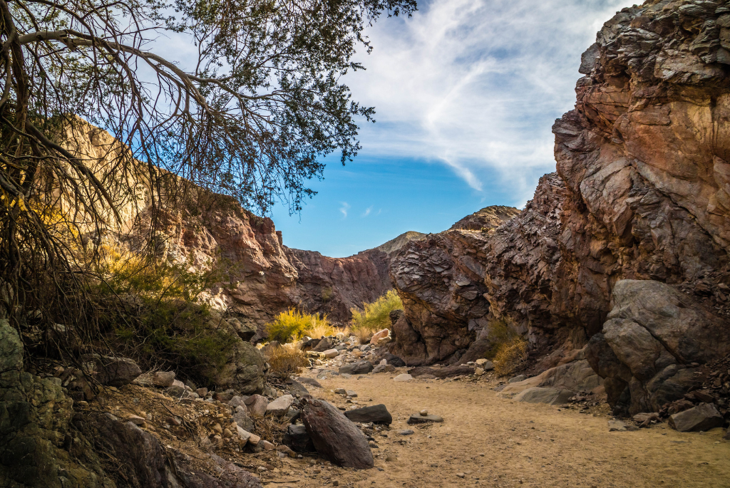 Hiking Palm Springs