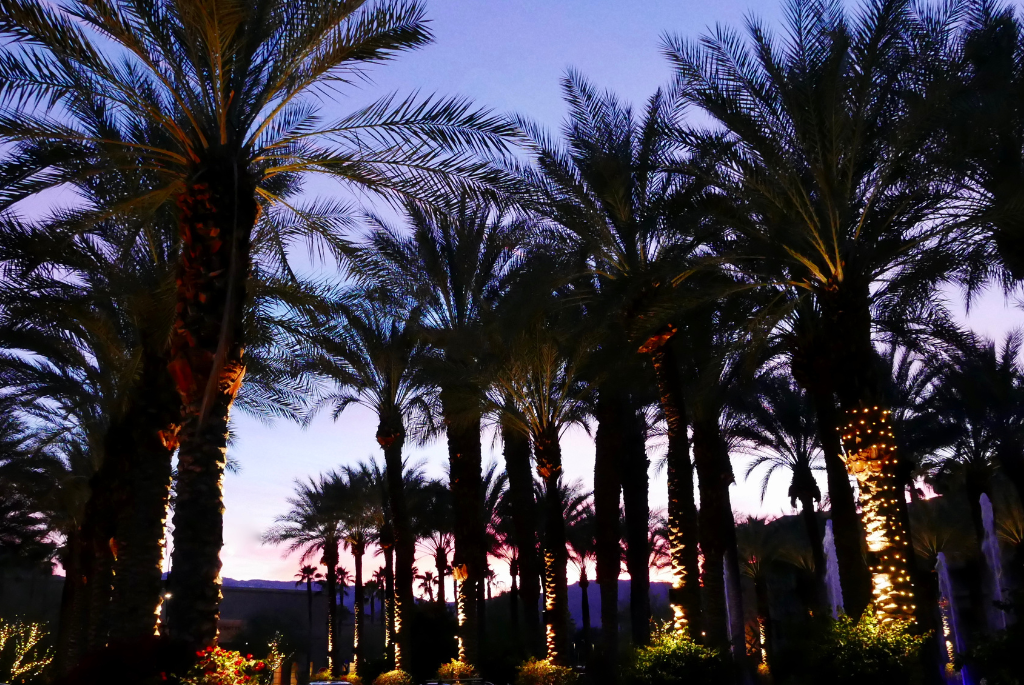 Palm Springs Entertainment